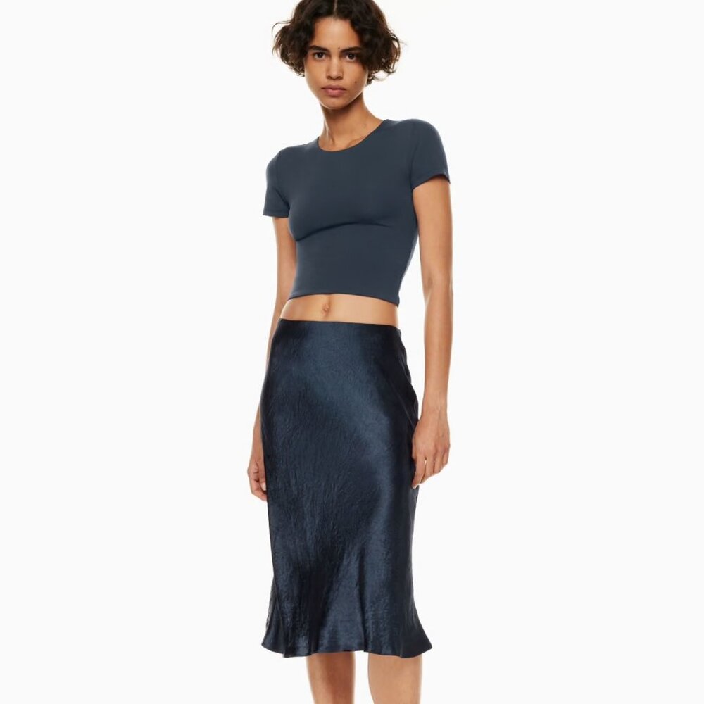 Aritzia Slip Satin Midi Skirt